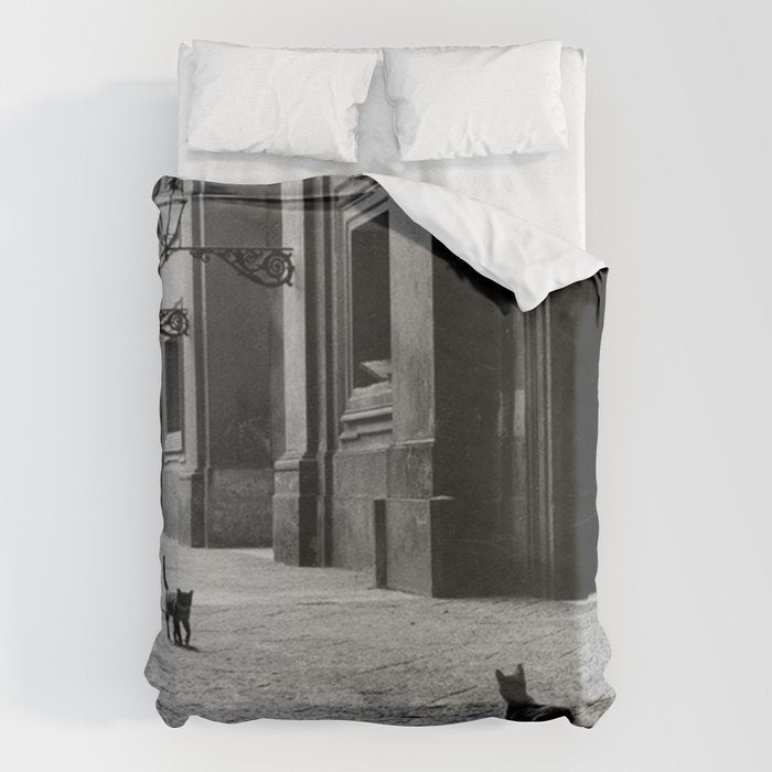 Two French Cats, Paris Left Bank black and white cityscape photograph / photography Duvet Cover Gallery Image 6