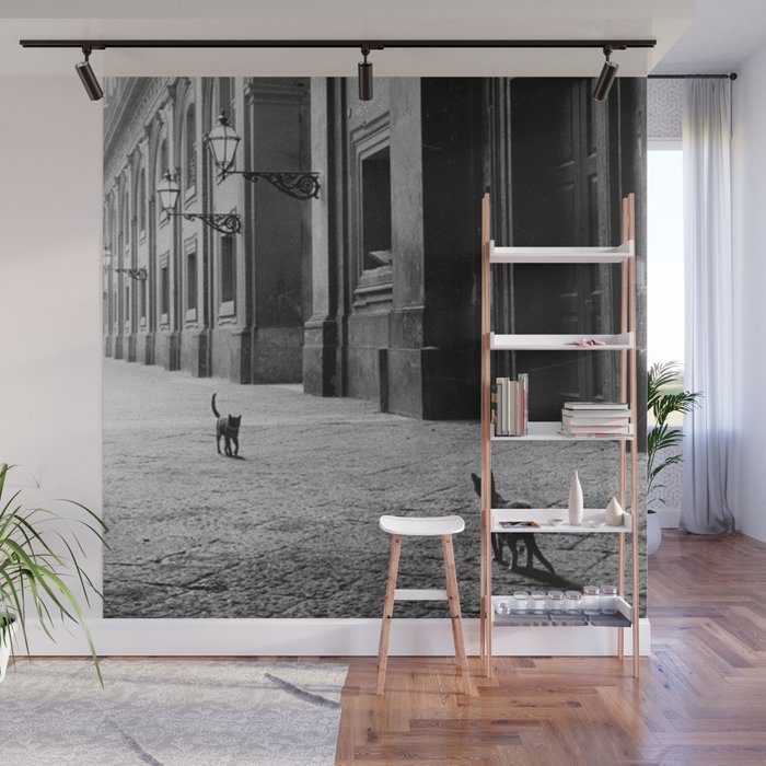 Two French Cats, Paris Left Bank black and white cityscape photograph / photography Wall Mural Gallery Image 1