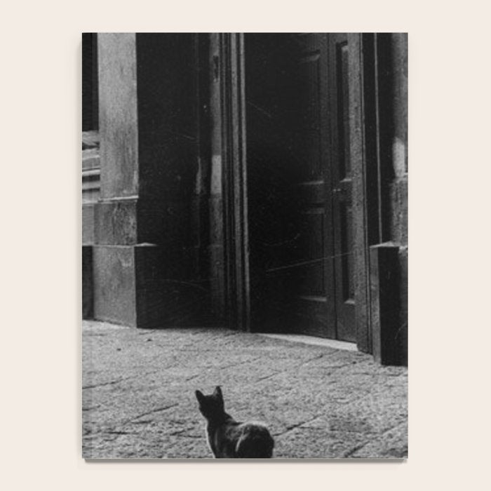 Two French Cats, Paris Left Bank black and white cityscape photograph / photography Notebook Gallery Image 4