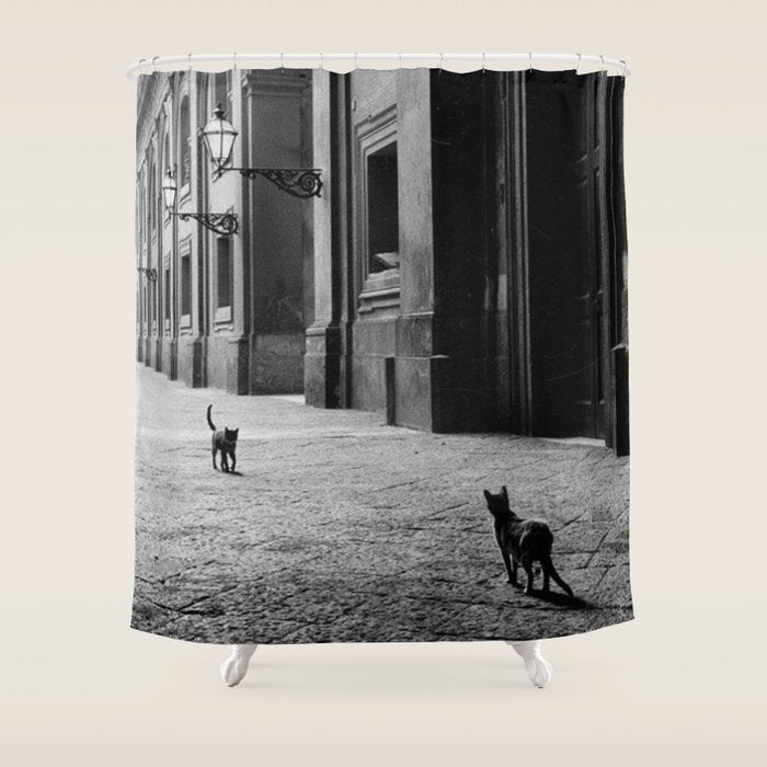 Two French Cats, Paris Left Bank black and white cityscape photograph / photography Shower Curtain Gallery Image 1