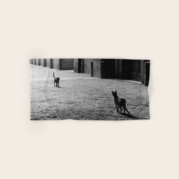 Two French Cats, Paris Left Bank black and white cityscape photograph / photography Bath Towel Gallery Image 1