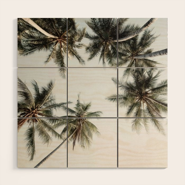 Palm Canopy - Minimal Tropical Wall Art Wood Wall Art Gallery Image 1