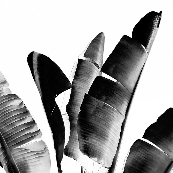 Traveler palm - bw Coffee Mug Gallery Image 2