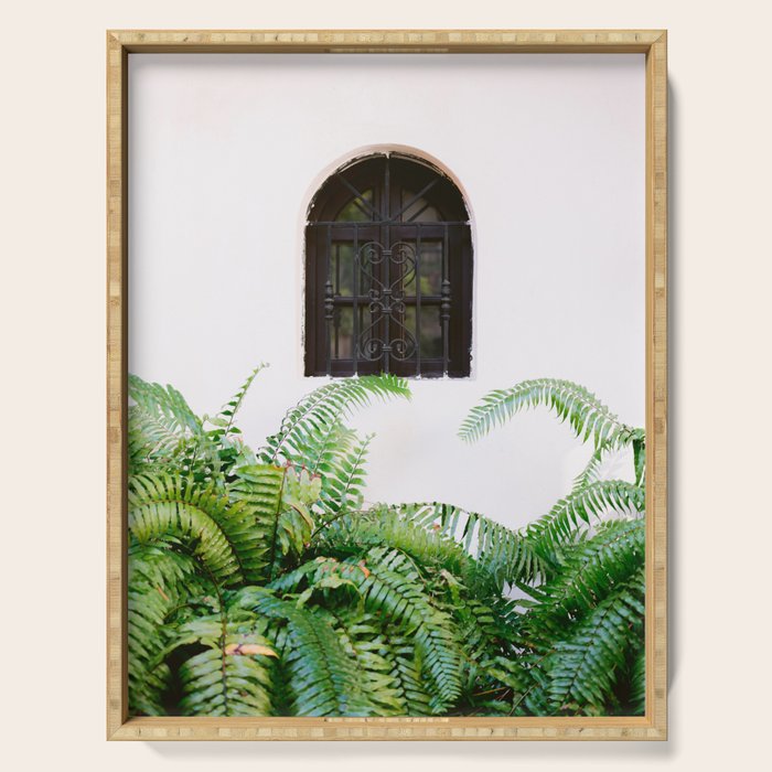 Santo Domingo window | Minimalistic botanical travel photography print | Dominican Republic wall art Serving Tray Gallery Image 1