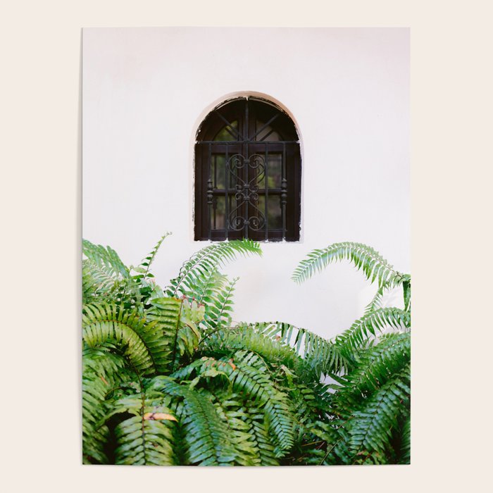 Santo Domingo window | Minimalistic botanical travel photography print | Dominican Republic wall art Poster Gallery Image 1