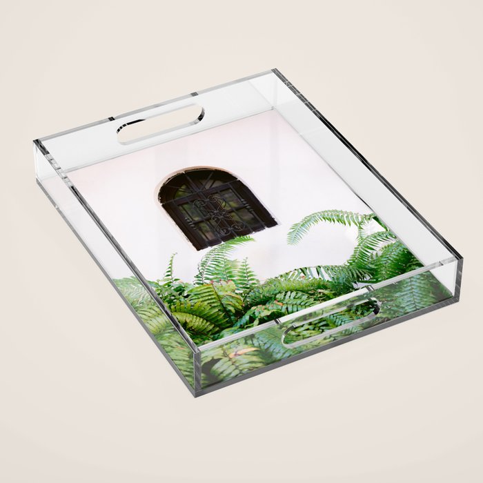 Santo Domingo window | Minimalistic botanical travel photography print | Dominican Republic wall art Acrylic Tray Gallery Image 1