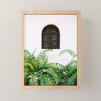 Santo Domingo window | Minimalistic botanical travel photography print | Dominican Republic wall art Mini Art Print Gallery Image 1