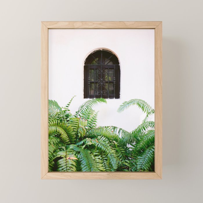 Santo Domingo window | Minimalistic botanical travel photography print | Dominican Republic wall art Mini Art Print Gallery Image 1