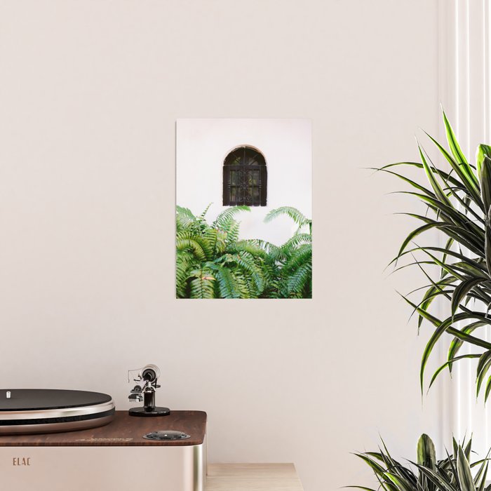 Santo Domingo window | Minimalistic botanical travel photography print | Dominican Republic wall art Poster Gallery Image 2