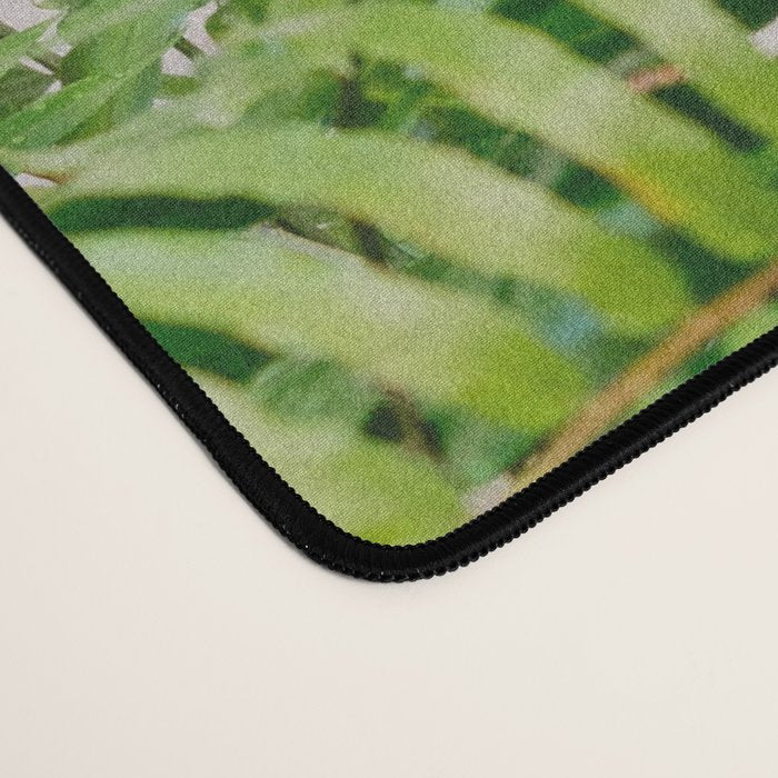 Santo Domingo window | Minimalistic botanical travel photography print | Dominican Republic wall art Desk Mat Gallery Image 4