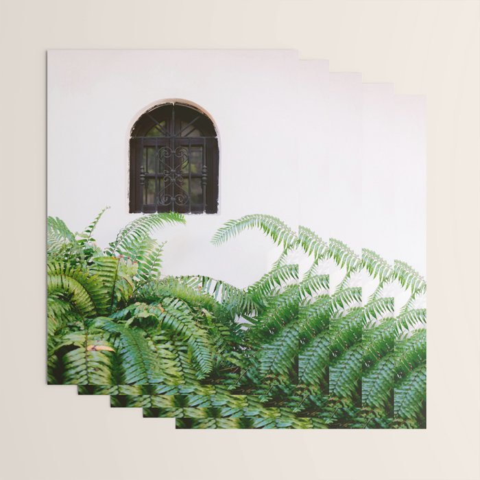 Santo Domingo window | Minimalistic botanical travel photography print | Dominican Republic wall art Wrapping Paper Gallery Image 3
