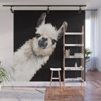 Sneaky Llama in Black Wall Mural Gallery Image 1