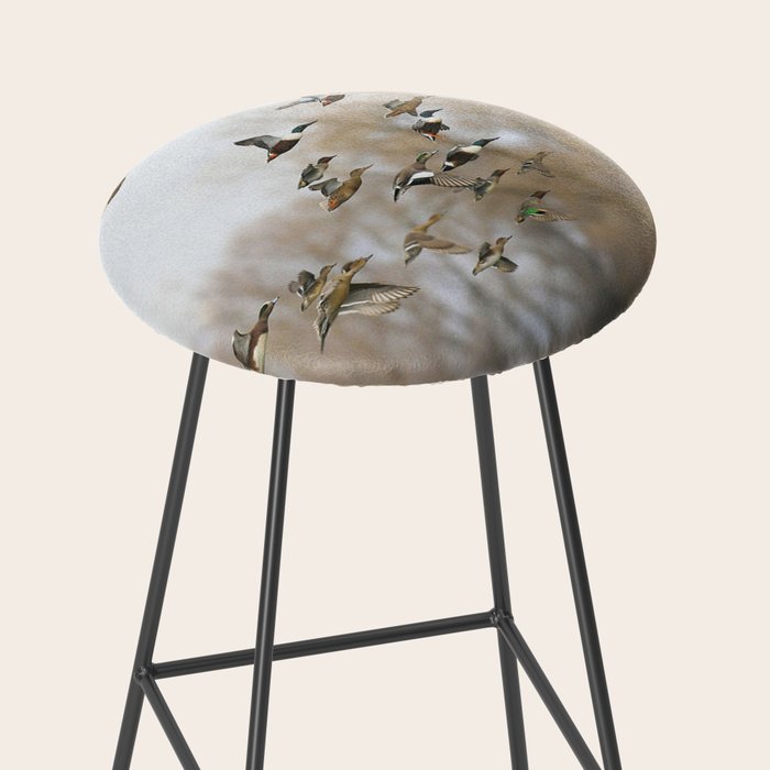 Ducks in Autumn Flight Stool Gallery Image 2