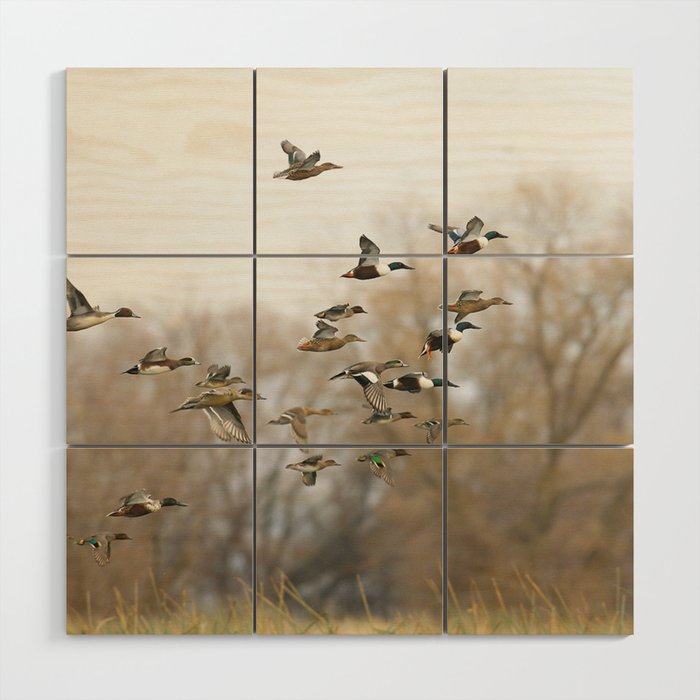 Ducks in Autumn Flight Wood Wall Art Gallery Image 1
