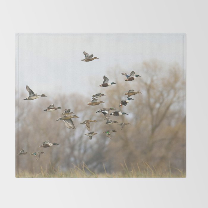 Ducks in Autumn Flight Throw Blanket Gallery Image 2