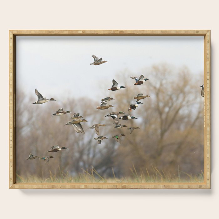 Ducks in Autumn Flight Serving Tray Gallery Image 1