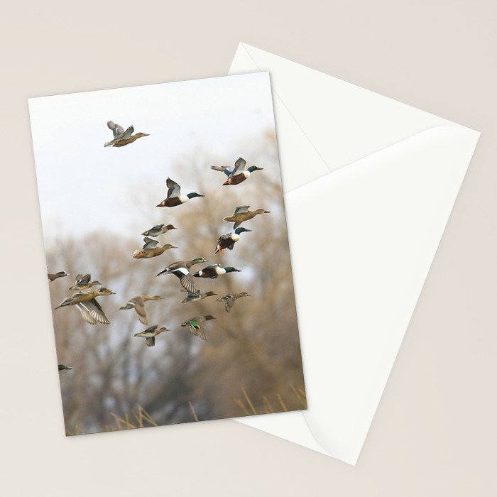 Ducks in Autumn Flight Stationery Card Gallery Image 2