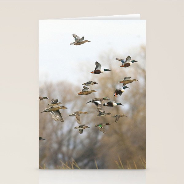 Ducks in Autumn Flight Stationery Card Gallery Image 2