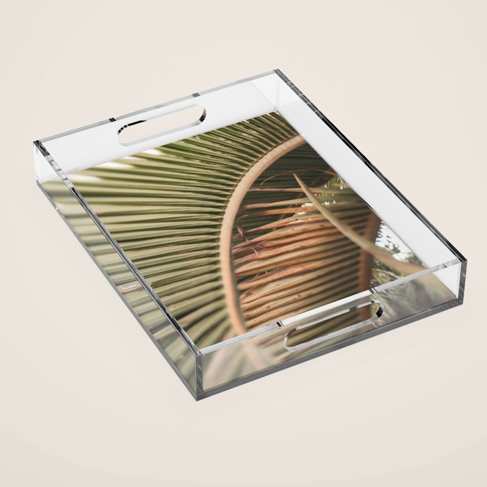 Curvy Acrylic Tray Gallery Image 1