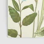 Little Blooming Wildflowers Poster Gallery Image 3