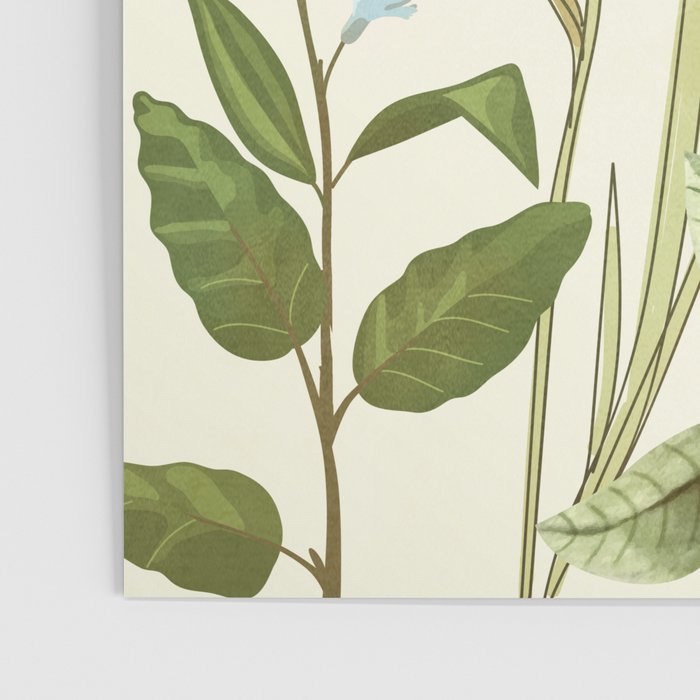 Little Blooming Wildflowers Poster Gallery Image 3