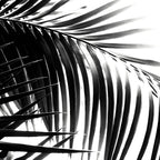 Palm Leaves Black & White Vibes #3 #tropical #decor #art #society6 Coffee Mug Gallery Image 2