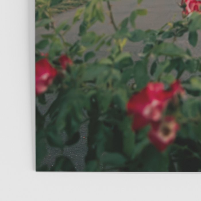 Pittock Mansion Blooms Poster Gallery Image 3