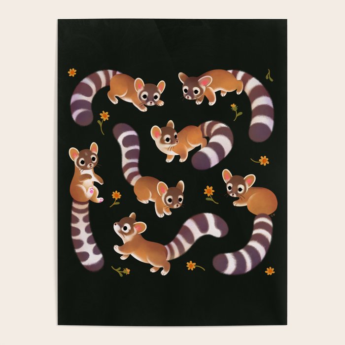 Ringtail - dark Poster Gallery Image 4