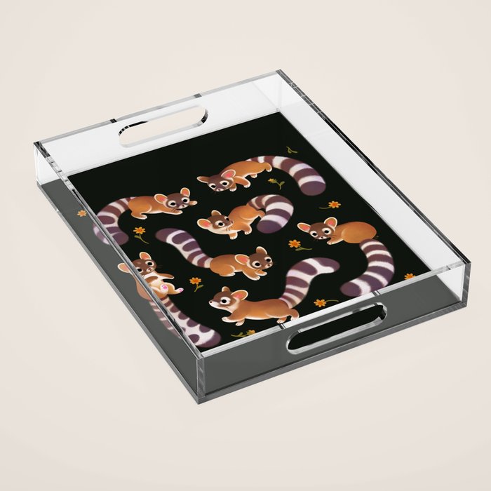 Ringtail - dark Acrylic Tray Gallery Image 1