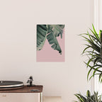 Banana Leaf Blush Poster Gallery Image 2