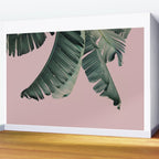Banana Leaf Blush Wall Mural Gallery Image 2