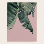 Banana Leaf Blush Poster Gallery Image 4