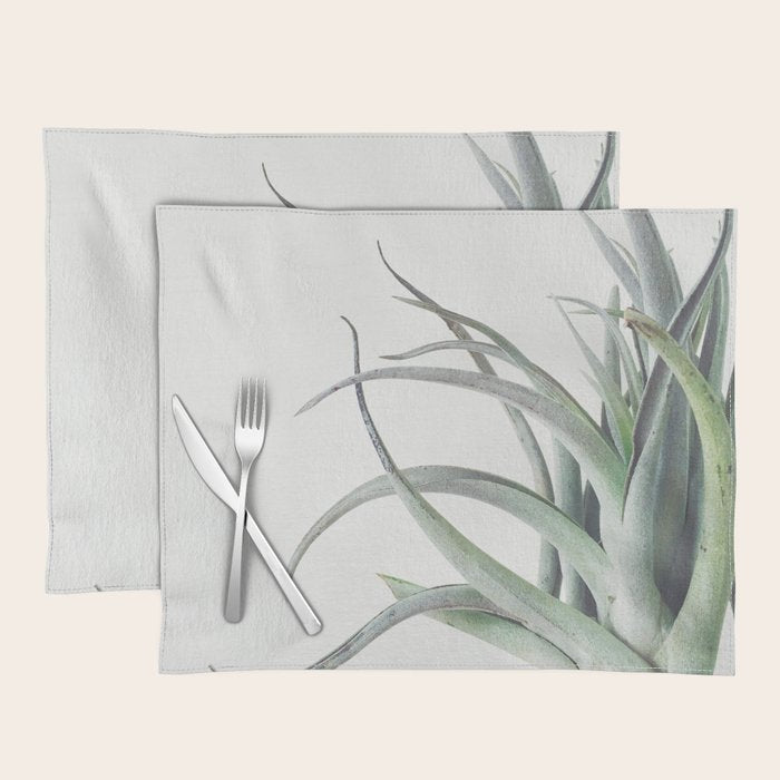 Air Plant II Placemat Gallery Image 1