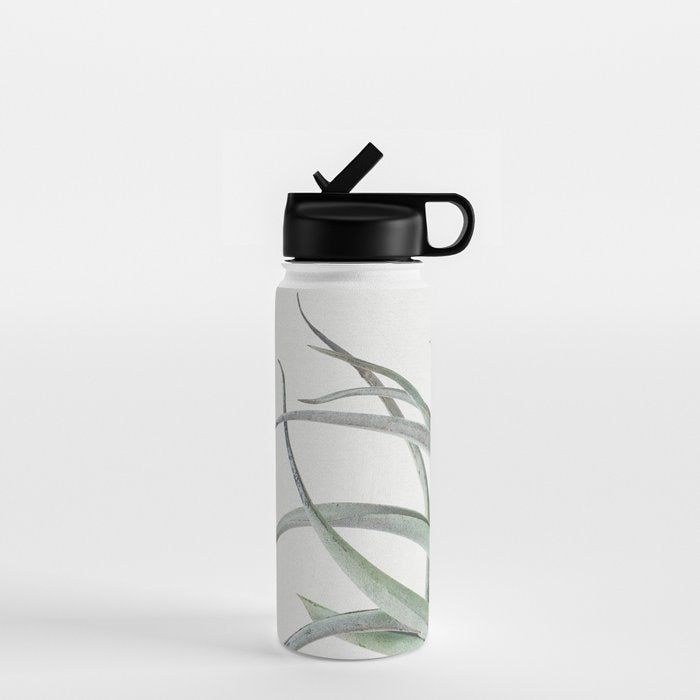 Air Plant II Water Bottle Gallery Image 1