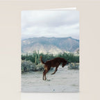 Bucking in Baja Stationery Card Gallery Image 2