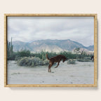 Bucking in Baja Serving Tray Gallery Image 1