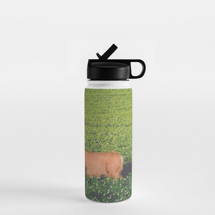 Clover Fields Water Bottle Gallery Image 1