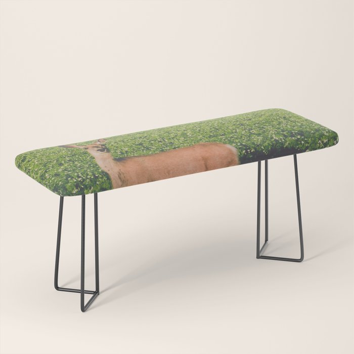 Clover Fields Bench Gallery Image 1