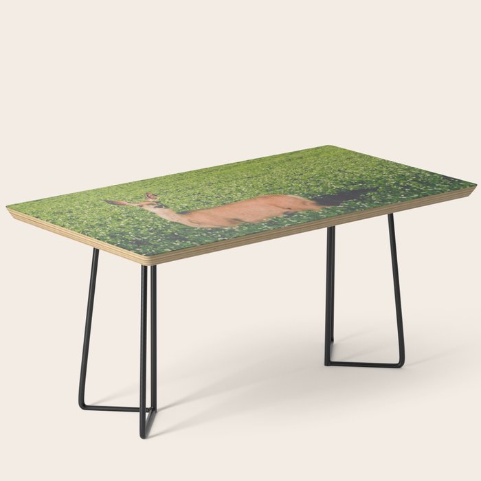 Clover Fields Coffee Table Gallery Image 1