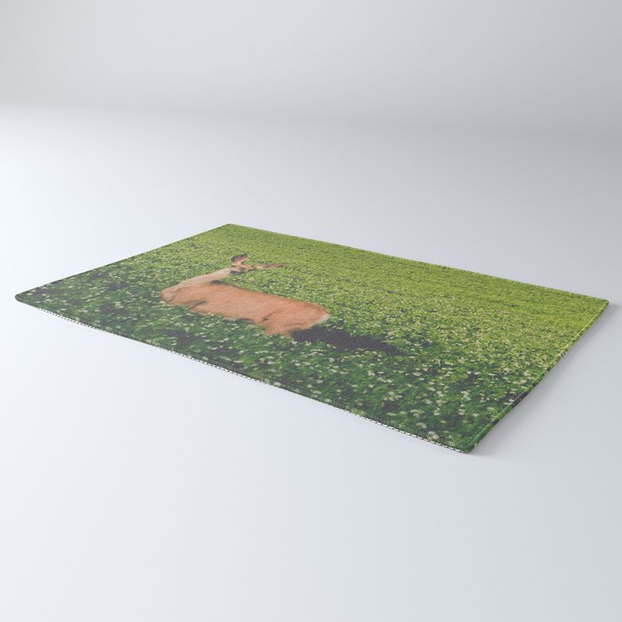 Clover Fields Rug Gallery Image 3