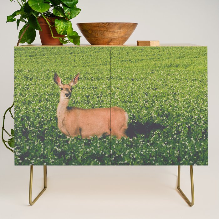 Clover Fields Credenza Gallery Image 1