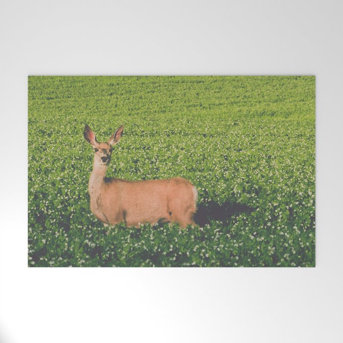 Clover Fields Welcome Mat Gallery Image 1
