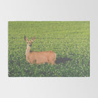 Clover Fields Rug Gallery Image 2