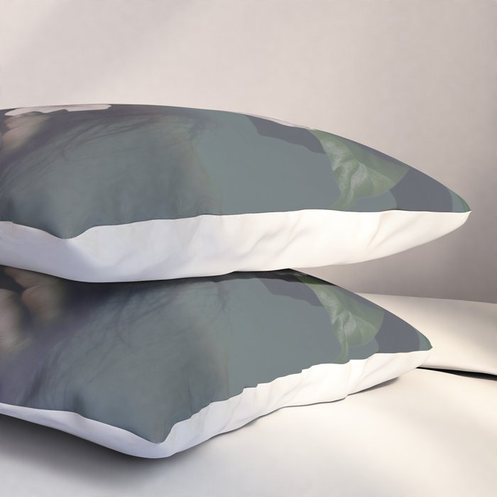 Bloom 22 Pillow Sham Gallery Image 3