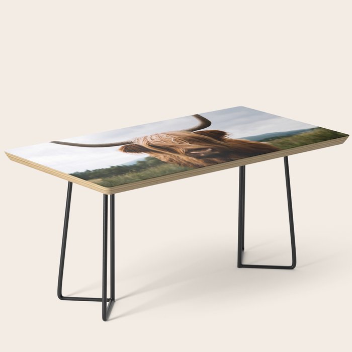 Scottish Highland Cattle Portrait Coffee Table Gallery Image 1