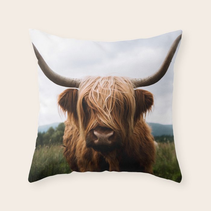 Scottish Highland Cattle Portrait Throw Pillow Gallery Image 6