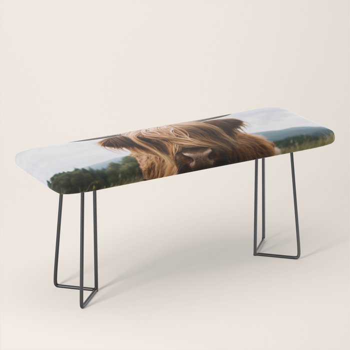 Scottish Highland Cattle Portrait Bench Gallery Image 1