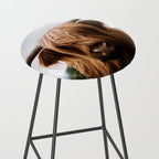 Scottish Highland Cattle Portrait Stool Gallery Image 2