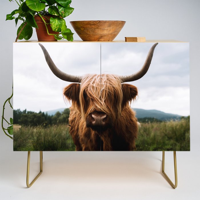 Scottish Highland Cattle Portrait Credenza Gallery Image 1