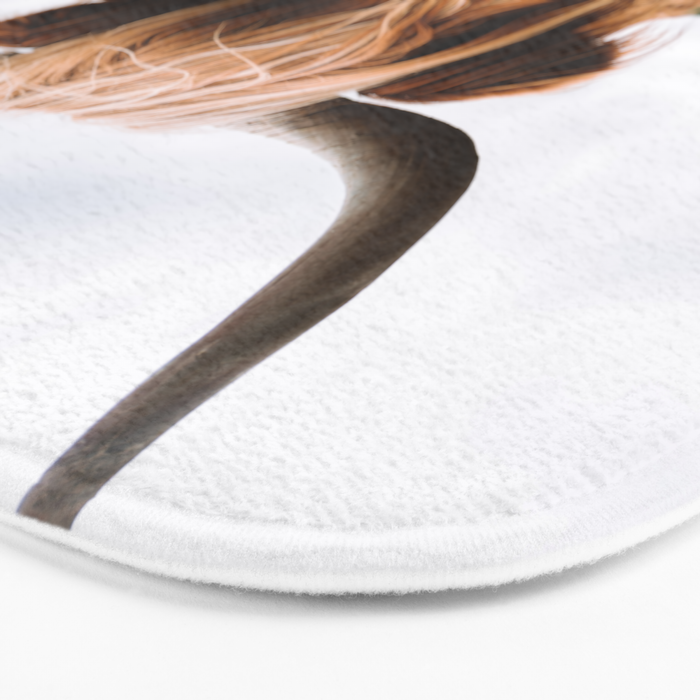Scottish Highland Cattle Portrait Bath Mat Gallery Image 3